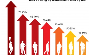 Testosterone quyết định tuổi thọ