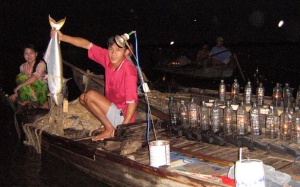 Cá bông lau - 'nhân sâm biết bơi'