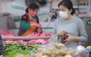 Trung Quốc: Chủng cúm gia cầm mới H10N8, H5N2 bùng phát