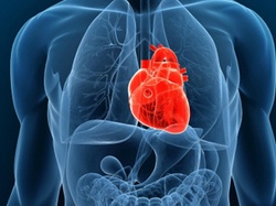 Cấy ghép thành công tim nhân tạo ở người