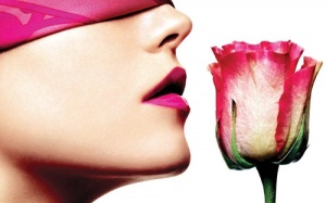 Khứu giác và mùi