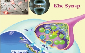 Cuối năm kể chuyện Nobel
