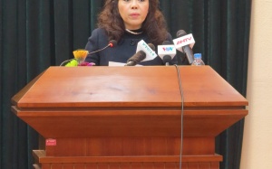 2013: Nhiều sự cố, nỗ lực 'giảm tải'