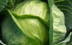 Mùa lạnh ăn gì?