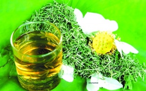 Đừng tùy tiện dùng trà thảo dược