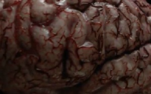 Đường phá hủy của thuốc lá