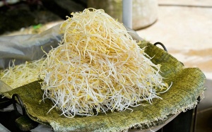 Phát hiện vụ dùng thuốc kích thích sản xuất giá đỗ số lượng lớn