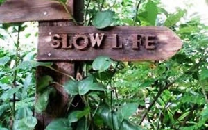 Hãy sống chậm lại...