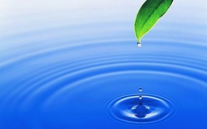 Giữ tâm bình lặng