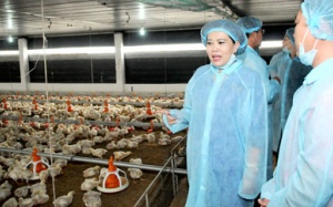 Thực phẩm tết: Tăng nguồn cung, ổn định giá