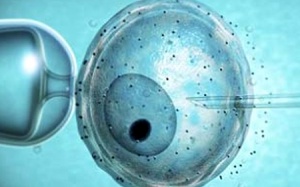 Thụ tinh bằng ống nghiệm nguy hiểm gấp 5 lần