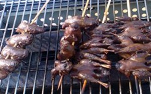 Kinh dị vịt thải biến thành chim sẻ, cút thối thành bồ câu