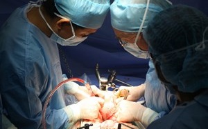 Chủ tịch Hiệp hội Phẫu thuật mạch máu châu Âu đến VN