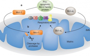 Tìm ra tử huyệt của bệnh ung thư