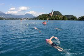 Những bài tập tốt nhất cho tim