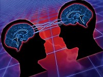 Con người cần sử dụng cả hai bán cầu não để giao tiếp