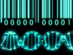 Lần đầu xây dựng thành công hệ gene người Việt