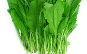Rau cải bị phun hóa chất nhiều nhất?