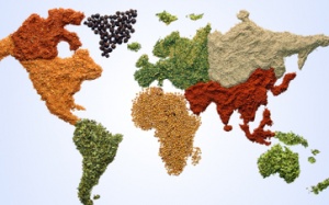 Thực phẩm Hà Lan tốt nhất, Việt Nam đứng nửa cuối bảng xếp hạng