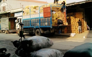 Bánh giả kẹo tràn ngập La Phù