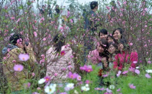 Muốn Tết bớt mệt? Hãy chơi đi!