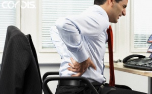 Đau lưng tại ai?