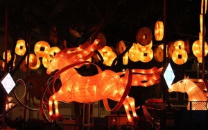 Ngắm khu phố người Hoa sáng trưng ngày giáp Tết