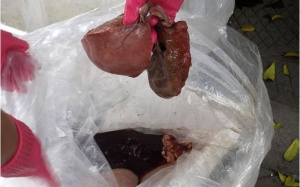 Đồng Nai: Phát hiện cơ sở dùng hóa chất tẩy nội tạng động vật