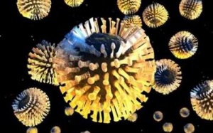 Một trẻ tử vong vì tiêu chảy cấp