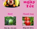 Ý nghĩa từng loại trên mâm ngũ quả ngày Tết