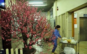 Đón giao thừa cùng các y bác sỹ