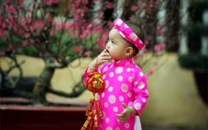 Trời đẹp, nắng ấm cả ba miền trong ngày đầu năm