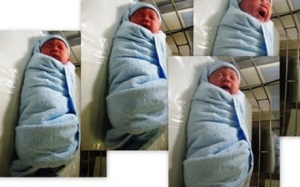 TP HCM: 40 'ngựa con' chào đời trong buổi sáng đầu năm