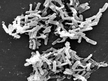 Vaccine ngừa lây nhiễm trong bệnh viện