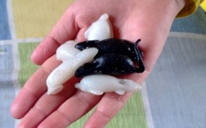 Nguy cơ trẻ nhiễm độc vì đồ chơi chuột nhựa dẻo