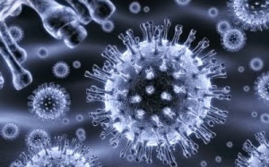 Hạt nano bạc ngăn lây nhiễm HIV