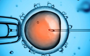 Tìm thấy gien liên quan đến vô sinh