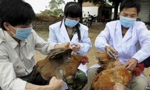 Tăng cường giám sát cúm A (H7N9) tại các cửa khẩu