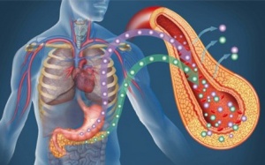 Tìm ra hướng bổ sung insulin nội sinh từ tế bào da