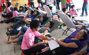 Kỳ vọng thu được 7.000 đơn vị máu ở lễ hội Xuân Hồng 2014