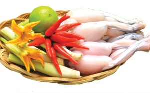 Thịt cóc - có nên cho trẻ ăn?