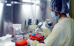 Nghiên cứu về chủng virus sởi gây dịch