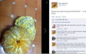 Xuất hiện quýt độc Trung Quốc vỏ vàng tươi, bên trong mốc?