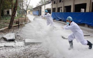 Quảng Bình xuất hiện ổ dịch cúm H5N1