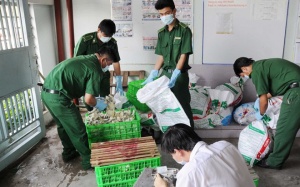 Quảng Ninh: Ngăn dịch cúm gia cầm ở khu vực biên giới