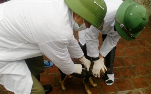 Thanh Hóa: Thêm 1 người tử vong vì bệnh dại