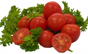 Cà chua ăn Đông ăn Tây