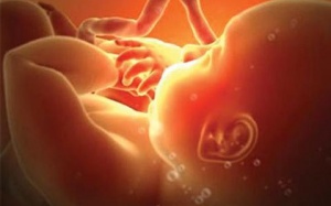 Ra mắt Trung tâm chẩn đoán, sàng lọc sơ sinh