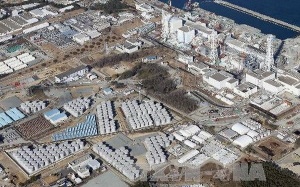 Nhật rà ung thư tuyến giáp với công nhân Fukushima 1