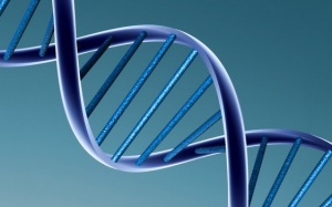 Lập trình điều khiển các phân tử thuốc